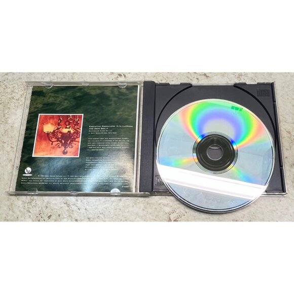 Celine Dion The Colour Of My Love CD Pop Sony Music 14 Tracks 1993 - Picture 4 of 6